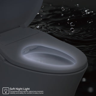 Sunvega Non-Electric Bidet Toilet Seat with Heated Seat and Dual Wash Modes