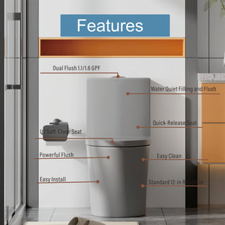 Sunvega Modern Matte Black Elongated One Piece Toilet with Dual Flush System
