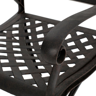 Sunvega Cast Aluminum Outdoor Dining Chairs Set of 2 with Wavy Floral Backs