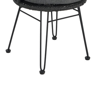 Sunvega Transitional Polyethylene Rattan Dining Chairs with Water-Resistant Cushions