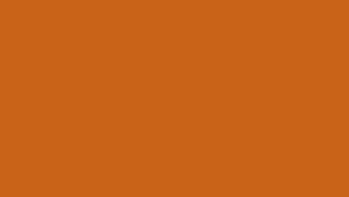 Sunvega Orange Finished Metal Twin Platform Bed Frame Ships in One Box