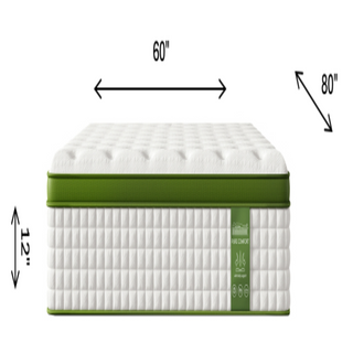 Sunvega 12 Inch Queen Size Hybrid Mattress with Gel Memory Foam and Pocket Springs for Pressure Relief