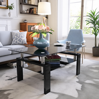 Sunvega Modern Clear Glass Coffee Table with Double Layer Storage for Living Room