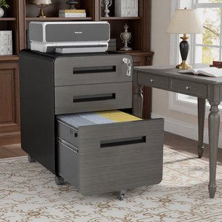Sunvega 2 Drawer Mobile File Cabinet with Lock for Legal Letter A4 Size