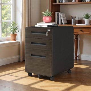 Sunvega 2 Drawer Mobile File Cabinet with Lock for Legal Letter A4 Size