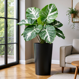 Sunvega 2 Pack Tall 21.7 Inch Crack-Resistant UV-Resistant Matte Planter Box for Indoor Outdoor