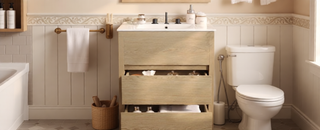 Sunvega Gray Bathroom Vanity with Ceramic Sink and 2 Soft Close Full-Extension Drawers