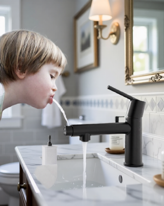 Sunvega Premium Chrome Single Handle Bathroom Faucet with Fountain and Flow Mode