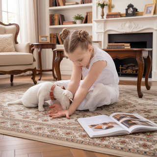 Sunvega Machine Washable Blue and Cream 5x8 Non-Slip Low Pile Area Rug