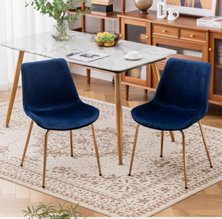 Sunvega Modern Velvet Dining Chair Set of 2 with Golden Plated Legs and Soft Velvet Upholstery