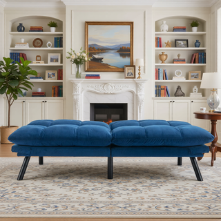 Sunvega Modern 2 Seater Sofa Bed with Adjustable Armrest and Backrest