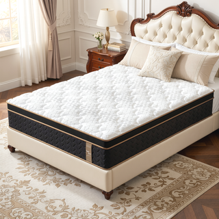 Sunvega 10" Queen Plush Hybrid Mattress with Gel Memory Foam and Edge Support