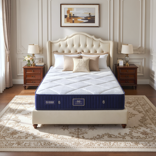 Sunvega 6 Inch Twin Hybrid Innerspring Mattress with Memory Foam for Pressure Relief