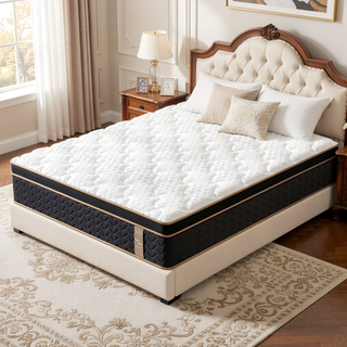 Sunvega 10" Queen Plush Hybrid Mattress with Gel Memory Foam and Edge Support