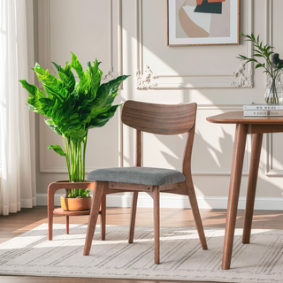 Sunvega Mid-Century Modern Upholstered Dining Chairs with Walnut Finished Frame Set of 2