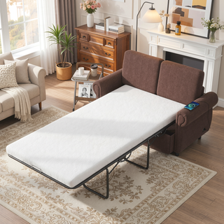 Sunvega Loveseat Sleeper Sofa Bed with Twin Memory Foam Mattress and USB Ports
