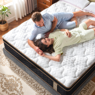 Sunvega 10" Queen Plush Hybrid Mattress with Gel Memory Foam and Edge Support