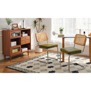 Sunvega Modern Mid Century Velvet Rattan Dining Chairs with Chrome Legs Set of 2