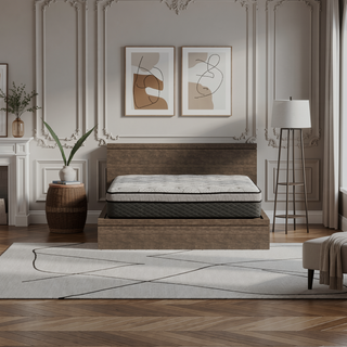 Sunvega Hybrid 12 Inch Medium Firm Queen Mattress with Pocketed Coils