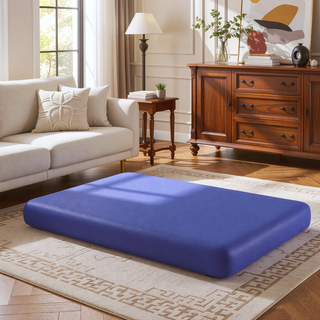 Sunvega 5 Inch Twin Size Memory Foam Mattress for Kids in Blue
