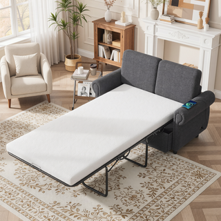 Sunvega Loveseat Sleeper Sofa Bed with Twin Memory Foam Mattress and USB Ports