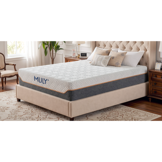 Sunvega 11.5" Hybrid Luxury Mattress Queen Medium Feel for All Sleepers