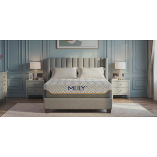 Sunvega 11.5" Hybrid Luxury Mattress Queen Medium Feel for All Sleepers