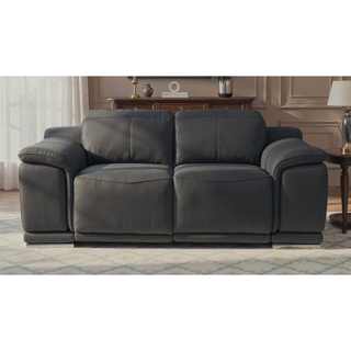 Sunvega Top Grain Italian Leather Power Reclining Loveseat with USB Charger