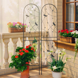 Sunvega 2 Pack 71" x 19.7" Rustproof Metal Garden Trellis for Climbing Plants