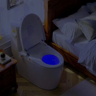 Sunvega Smart Toilet Bidet Combo with Heated Seat, Night Light, and Remote Control