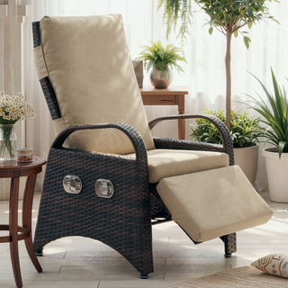 Sunvega Adjustable Backrest and Footrest Reclining Lounge Chair with Removable Cushion