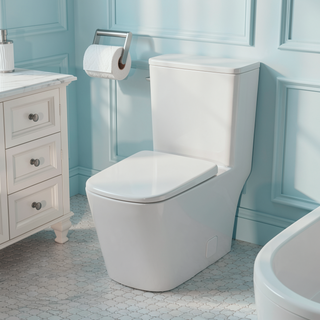 Sunvega Modern One Piece Toilet with Soft Closing Seat and Powerful Flushing