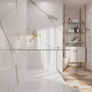 Sunvega 24x72 Inch Brushed Nickel Pivot Shower Door with Half Frame
