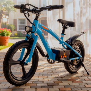 Sunvega 300W Super Power Motor Kids Ride On Electric Dirt Bike with 16in Wheels