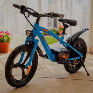 Sunvega 300W Super Power Motor Kids Ride On Electric Dirt Bike with 16in Wheels