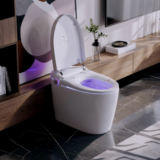 Sunvega Smart Toilet With Auto Open Close Lid Heated Seat And Bidet Wash Modes