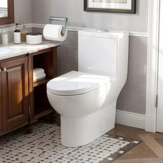 Sunvega Modern One Piece Toilet with Soft Closing Seat and Powerful Flushing