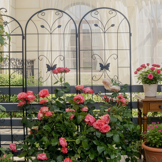 Sunvega Rustproof Metal Garden Trellis for Climbing Plants Outdoor Flower Support