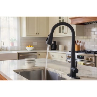 Sunvega Single Handle Stainless Steel Kitchen Sink Faucet with Pull Down Sprayer