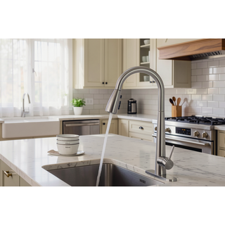 Sunvega Single Handle Stainless Steel Kitchen Sink Faucet with Pull Down Sprayer