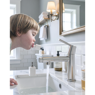 Sunvega Premium Chrome Single Handle Bathroom Faucet with Fountain and Flow Mode