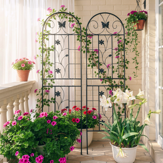 Sunvega 2 Pack 71" x 19.7" Metal Galvanized Rustproof Trellis for Climbing Plants