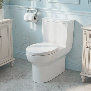 Sunvega Modern One Piece Toilet with Soft Closing Seat and Powerful Flushing
