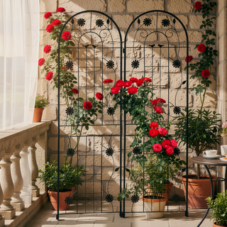 Sunvega Rustproof Metal Garden Trellis for Climbing Plants Outdoor Flower Support 4 Pack