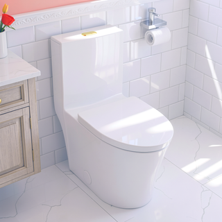 Sunvega Modern Matte Black Elongated One Piece Toilet with Dual Flush System