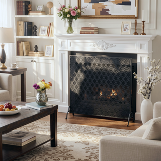 Sunvega Modern Overlapping Circle Pattern Iron Frame Single Panel Fire Screen