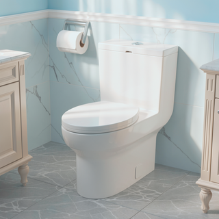 Sunvega Modern One Piece Toilet with Soft Closing Seat and Powerful Flushing