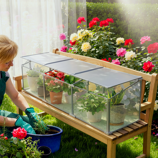 Sunvega Polycarbonate Greenhouse with Openable Top for Outdoor Plant Protection and Ventilation