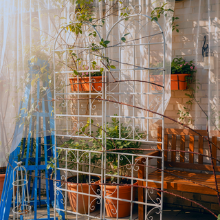 Sunvega Easy to Assemble 86.7 x 19.7 Inch Metal Garden Trellis for Climbing Plants