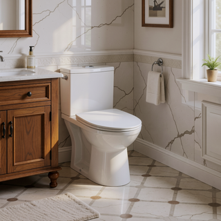 Sunvega One-Piece Toilet with Rimless Siphon Flush and Soft Closing Seat ADA Height